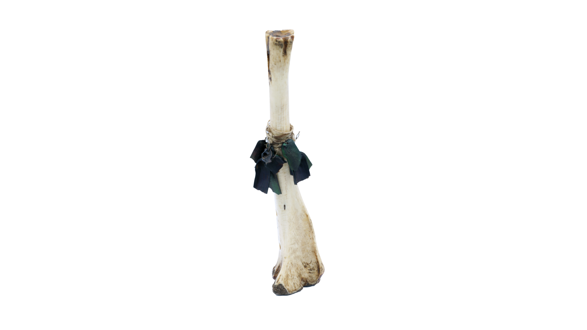 Deer-bone flute